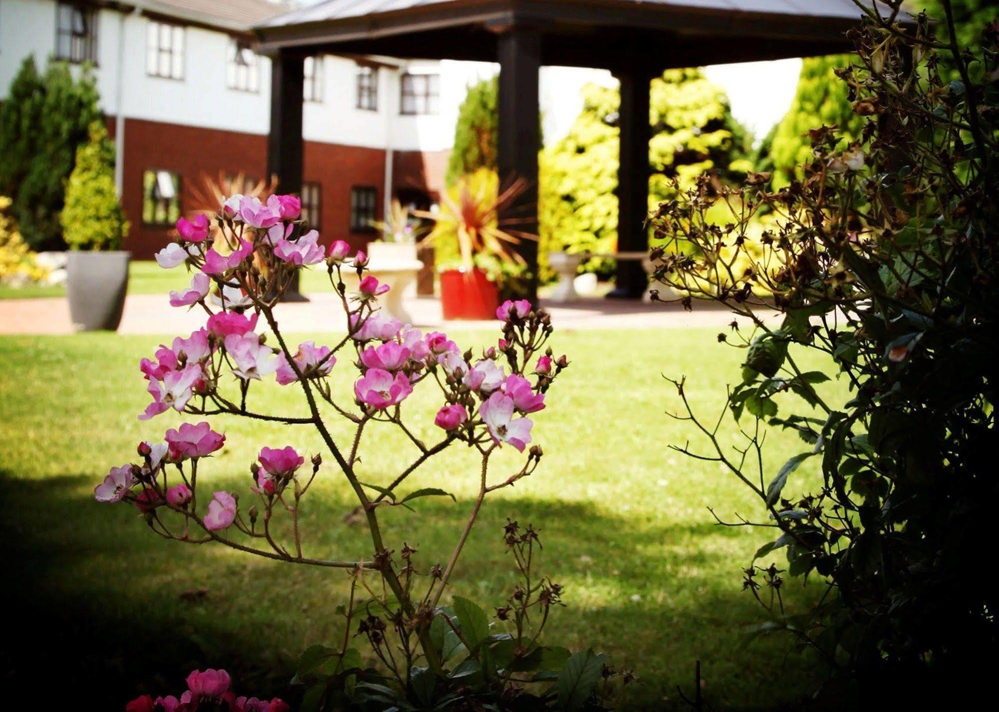 Beaufort Park Hotel Mold Eksteriør billede